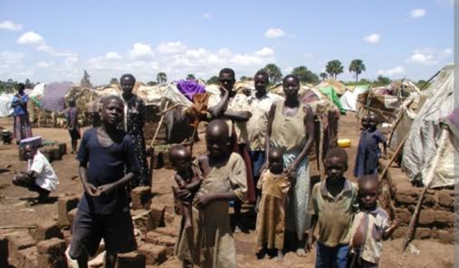 WhatsApp Image 2025-07-21 at 12.13